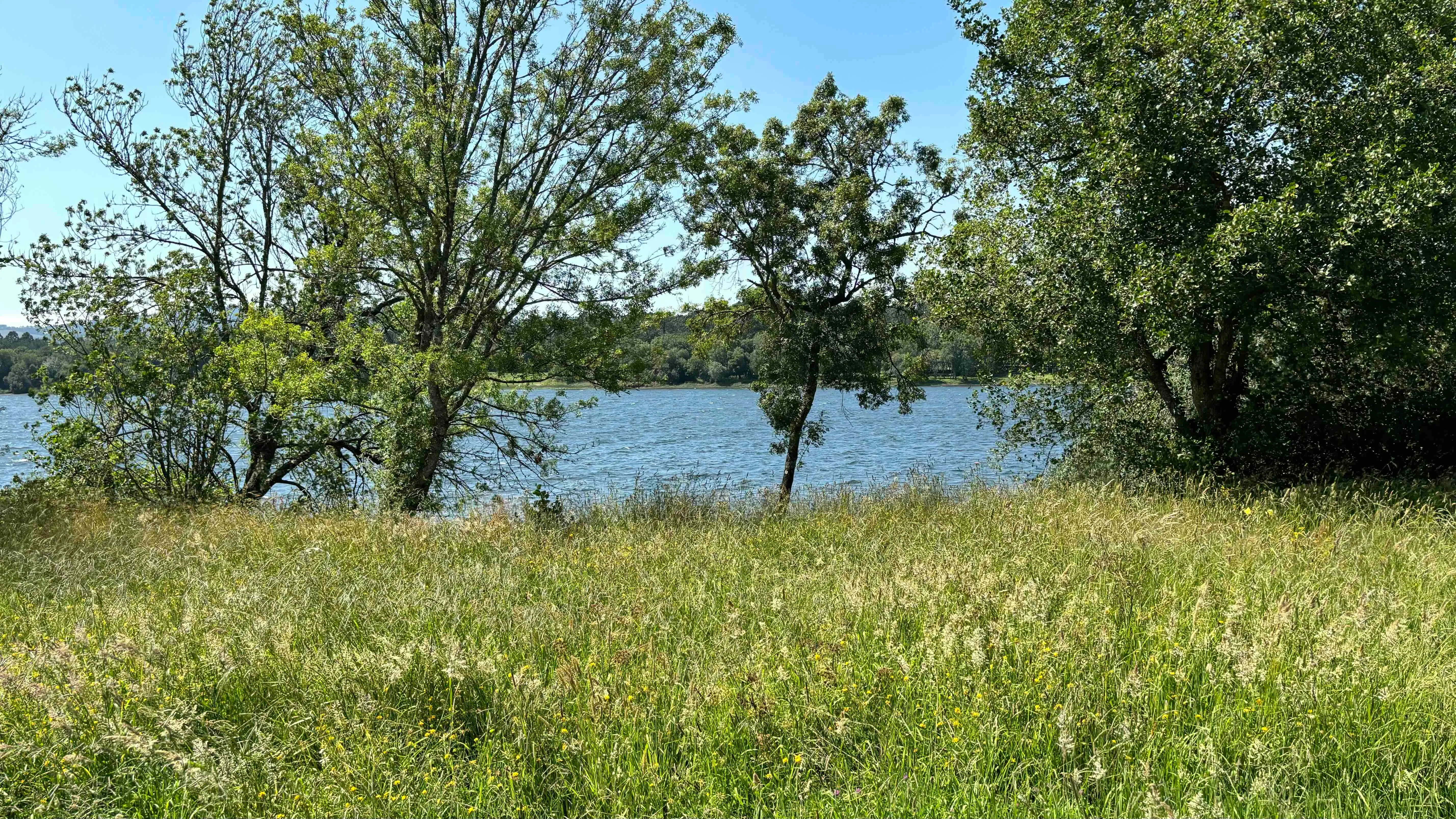 Walking alongside the river today